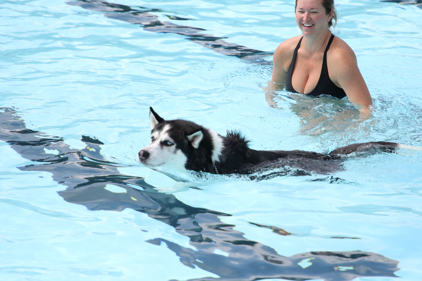 Dogs at the pool (10).JPG